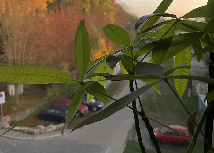 Neu! Oasis - Am Harz, Hochwertig Kernsaniert, 83 Qm, Eg Appartement Nordhausen