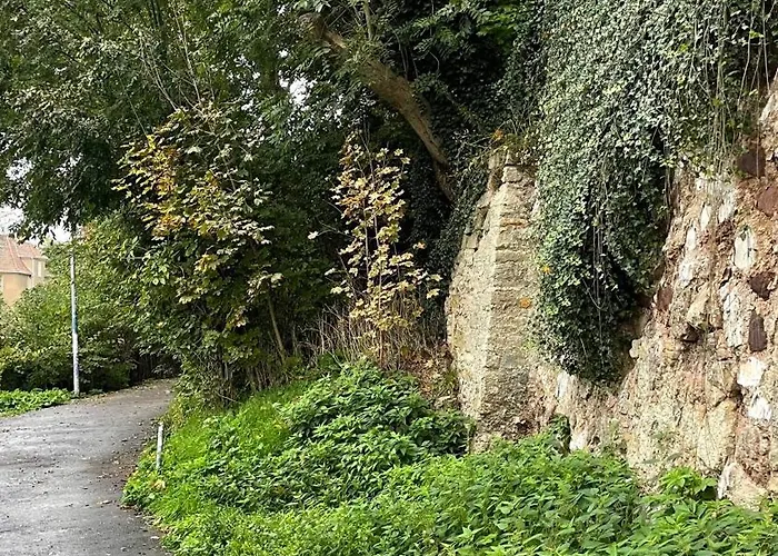 Apartman Neu! Oasis - Am Harz, Hochwertig Kernsaniert, 83 Qm, Eg