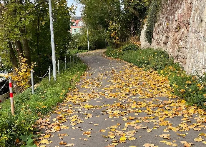 Apartman Neu! Oasis - Am Harz, Hochwertig Kernsaniert, 83 Qm, Eg *