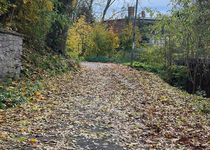 Neu! Oasis - Am Harz, Hochwertig Kernsaniert, 83 Qm, Eg Appartement